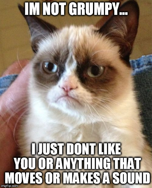 Grumpy Cat Meme | IM NOT GRUMPY... I JUST DONT LIKE YOU OR ANYTHING THAT MOVES OR MAKES A SOUND | image tagged in memes,grumpy cat | made w/ Imgflip meme maker