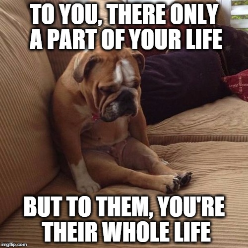 Bull Dog Sad | TO YOU, THERE ONLY A PART OF YOUR LIFE BUT TO THEM, YOU'RE THEIR WHOLE LIFE | image tagged in memes,bulldogsad | made w/ Imgflip meme maker