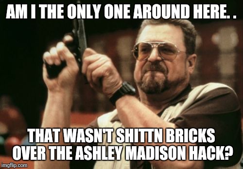 Am I The Only One Around Here | AM I THE ONLY ONE AROUND HERE. . THAT WASN'T SHITTN BRICKS OVER THE ASHLEY MADISON HACK? | image tagged in memes,am i the only one around here | made w/ Imgflip meme maker