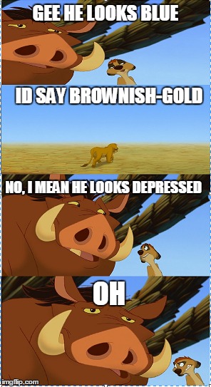 PUMBAA AND TIMONE | GEE HE LOOKS BLUE ID SAY BROWNISH-GOLD NO, I MEAN HE LOOKS DEPRESSED OH | image tagged in lion king,pumbaa and timone | made w/ Imgflip meme maker