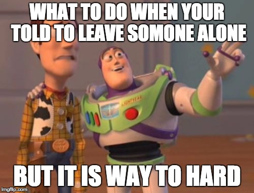 X, X Everywhere | WHAT TO DO WHEN YOUR TOLD TO LEAVE SOMONE ALONE BUT IT IS WAY TO HARD | image tagged in memes,x x everywhere | made w/ Imgflip meme maker