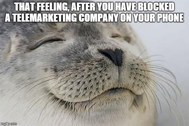 Satisfied Seal Meme | THAT FEELING, AFTER YOU HAVE BLOCKED A TELEMARKETING COMPANY ON YOUR PHONE | image tagged in memes,satisfied seal | made w/ Imgflip meme maker