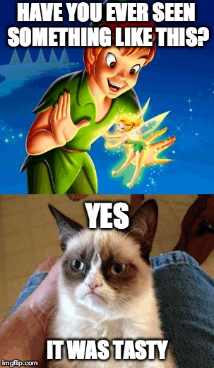 Grumpy Cat Does Not Believe | HAVE YOU EVER SEEN SOMETHING LIKE THIS? IT WAS TASTY YES | image tagged in memes,grumpy cat does not believe | made w/ Imgflip meme maker