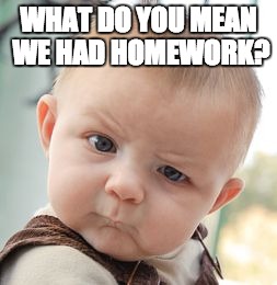 Skeptical Baby Meme | WHAT DO YOU MEAN WE HAD HOMEWORK? | image tagged in memes,skeptical baby | made w/ Imgflip meme maker