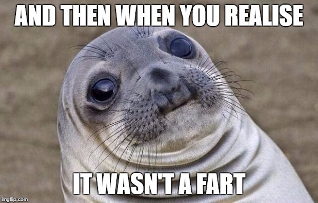 Awkward Moment Sealion Meme | AND THEN WHEN YOU REALISE IT WASN'T A FART | image tagged in memes,awkward moment sealion | made w/ Imgflip meme maker