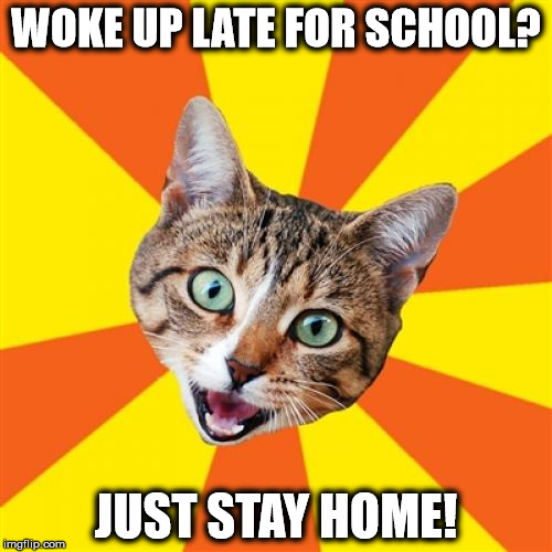 Bad Advice Cat | WOKE UP LATE FOR SCHOOL? JUST STAY HOME! | image tagged in memes,bad advice cat | made w/ Imgflip meme maker