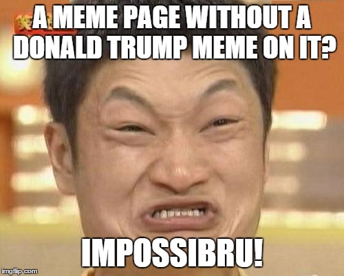 Impossibru Guy Original | A MEME PAGE WITHOUT A DONALD TRUMP MEME ON IT? IMPOSSIBRU! | image tagged in memes,impossibru guy original | made w/ Imgflip meme maker