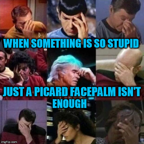 Collective Face palm | WHEN SOMETHING IS SO STUPID JUST A PICARD FACEPALM ISN'T ENOUGH | image tagged in star trek face palm,stupid | made w/ Imgflip meme maker