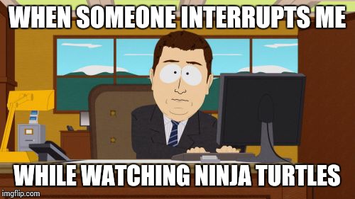 Aaaaand Its Gone Meme | WHEN SOMEONE INTERRUPTS ME WHILE WATCHING NINJA TURTLES | image tagged in memes,aaaaand its gone | made w/ Imgflip meme maker