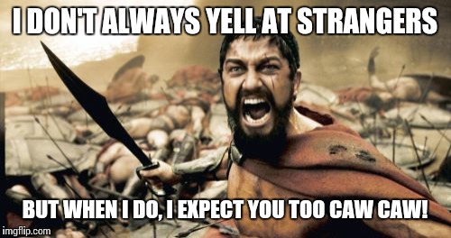 Sparta Leonidas | I DON'T ALWAYS YELL AT STRANGERS BUT WHEN I DO, I EXPECT YOU TOO CAW CAW! | image tagged in memes,sparta leonidas | made w/ Imgflip meme maker