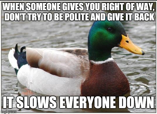 Actual Advice Mallard | WHEN SOMEONE GIVES YOU RIGHT OF WAY, DON'T TRY TO BE POLITE AND GIVE IT BACK IT SLOWS EVERYONE DOWN | image tagged in memes,actual advice mallard,AdviceAnimals | made w/ Imgflip meme maker