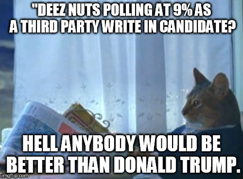 I Should Buy A Boat Cat | "DEEZ NUTS POLLING AT 9% AS A THIRD PARTY WRITE IN CANDIDATE? HELL ANYBODY WOULD BE BETTER THAN DONALD TRUMP. | image tagged in memes,i should buy a boat cat | made w/ Imgflip meme maker