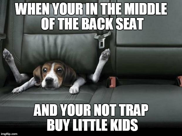 i hate this when it happens | WHEN YOUR IN THE MIDDLE OF THE BACK SEAT AND YOUR NOT TRAP BUY LITTLE KIDS | image tagged in funny dog back seat,cramp,back seat,middle | made w/ Imgflip meme maker