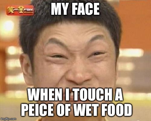 Impossibru Guy Original Meme | MY FACE WHEN I TOUCH A PEICE OF WET FOOD | image tagged in memes,impossibru guy original | made w/ Imgflip meme maker