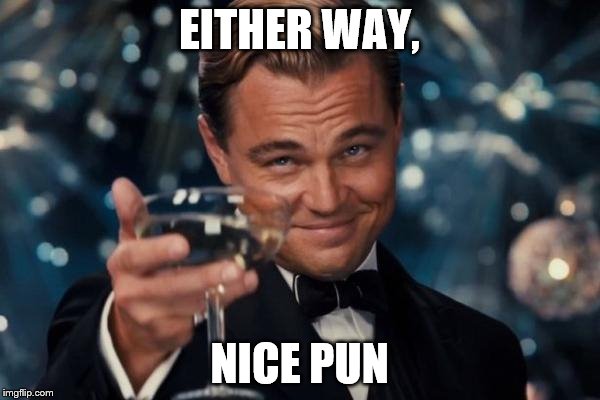 Leonardo Dicaprio Cheers Meme | EITHER WAY, NICE PUN | image tagged in memes,leonardo dicaprio cheers | made w/ Imgflip meme maker