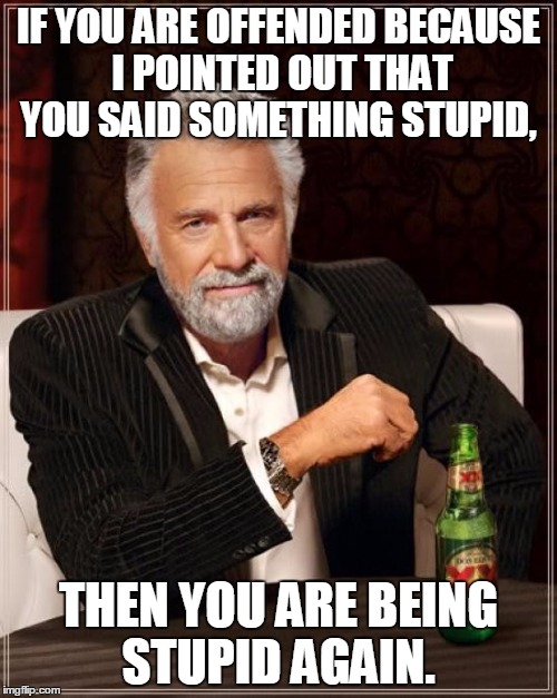 The Most Interesting Man In The World | IF YOU ARE OFFENDED BECAUSE I POINTED OUT THAT YOU SAID SOMETHING STUPID, THEN YOU ARE BEING STUPID AGAIN. | image tagged in memes,the most interesting man in the world | made w/ Imgflip meme maker