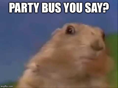 Party bus | PARTY BUS YOU SAY? | image tagged in party,partybus,server,serverlife,evilgopher,funny | made w/ Imgflip meme maker