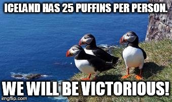 Puffin Army | ICELAND HAS 25 PUFFINS PER PERSON. WE WILL BE VICTORIOUS! | image tagged in puffins,victory | made w/ Imgflip meme maker