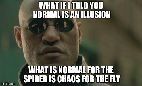 Matrix Morpheus Meme | WHAT IF I TOLD YOU NORMAL IS AN ILLUSION WHAT IS NORMAL FOR THE SPIDER IS CHAOS FOR THE FLY | image tagged in memes,matrix morpheus | made w/ Imgflip meme maker