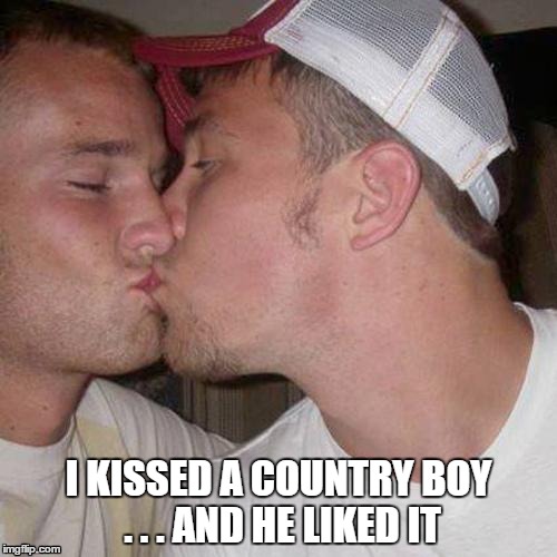 Kissed a Country Boy | I KISSED A COUNTRY BOY . . .
AND HE LIKED IT | image tagged in kissed a country boy | made w/ Imgflip meme maker