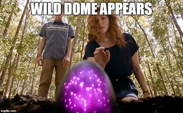 pokemon and under the dome meme | WILD DOME APPEARS | image tagged in pokemon,under the dome,memes | made w/ Imgflip meme maker