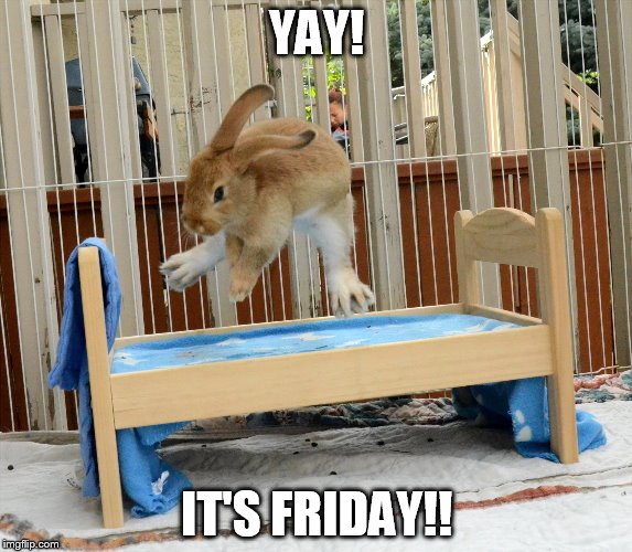 YAY! IT'S FRIDAY!! | made w/ Imgflip meme maker