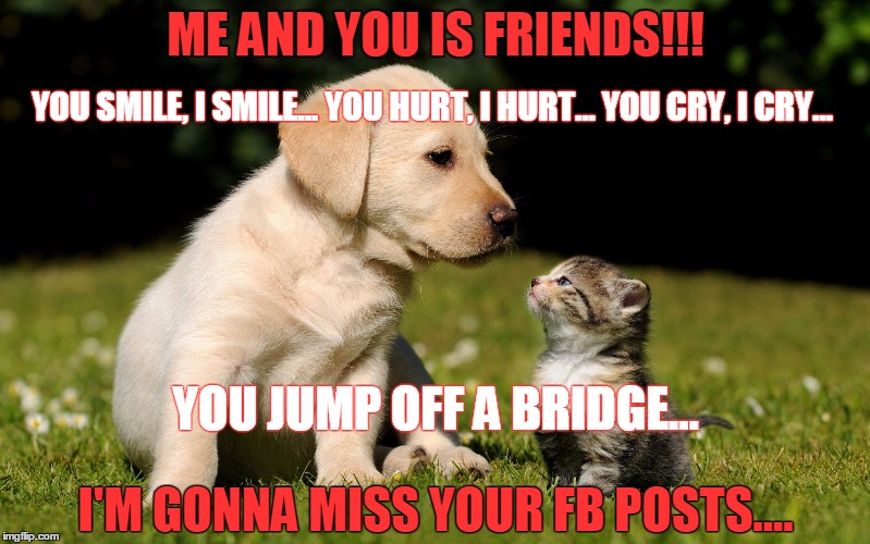 Me and You Is Friends - FB | ME AND YOU IS FRIENDS!!! I'M GONNA MISS YOUR FB POSTS.... YOU SMILE, I SMILE... YOU HURT, I HURT... YOU CRY, I CRY... YOU JUMP OFF A BRIDGE. | image tagged in me and you is friends - fb | made w/ Imgflip meme maker