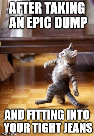 Cool Cat Stroll Meme | AFTER TAKING AN EPIC DUMP AND FITTING INTO YOUR TIGHT JEANS | image tagged in memes,cool cat stroll | made w/ Imgflip meme maker