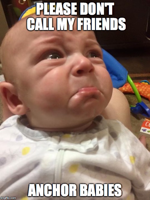 PLEASE DON'T CALL MY FRIENDS ANCHOR BABIES | image tagged in pouty lip baby | made w/ Imgflip meme maker