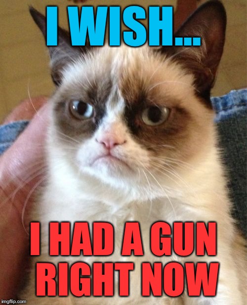 Grumpy Cat thinking of you... | I WISH... I HAD A GUN RIGHT NOW | image tagged in memes,grumpy cat | made w/ Imgflip meme maker