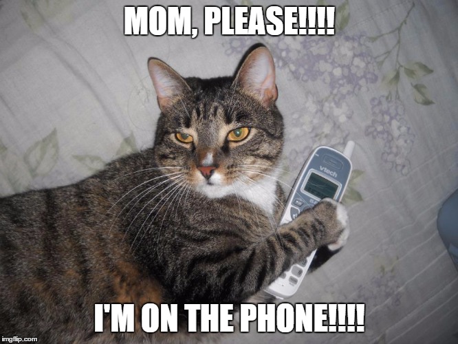 MOM, PLEASE!!!! I'M ON THE PHONE!!!! | image tagged in phone | made w/ Imgflip meme maker