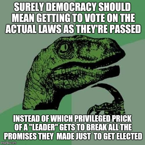 Democracy my ass | SURELY DEMOCRACY SHOULD MEAN GETTING TO VOTE ON THE ACTUAL LAWS AS THEY'RE PASSED INSTEAD OF WHICH PRIVILEGED PRICK OF A "LEADER" GETS TO BR | image tagged in memes,philosoraptor | made w/ Imgflip meme maker
