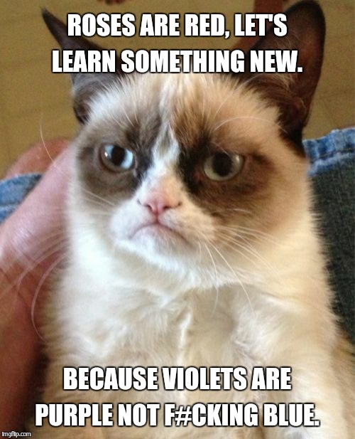 Let's learn something new.  | ROSES ARE RED, LET'S LEARN SOMETHING NEW. BECAUSE VIOLETS ARE PURPLE NOT F#CKING BLUE. | image tagged in memes,grumpy cat | made w/ Imgflip meme maker
