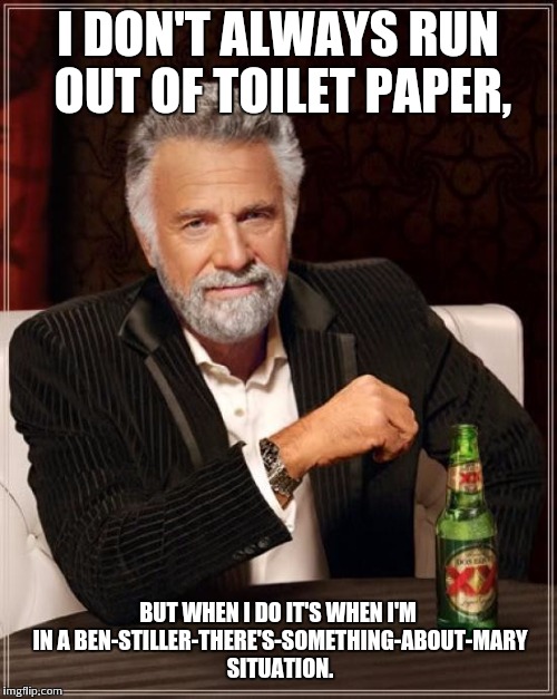 The Most Interesting Man In The World Meme | I DON'T ALWAYS RUN OUT OF TOILET PAPER, BUT WHEN I DO IT'S WHEN I'M IN A BEN-STILLER-THERE'S-SOMETHING-ABOUT-MARY SITUATION. | image tagged in memes,the most interesting man in the world | made w/ Imgflip meme maker