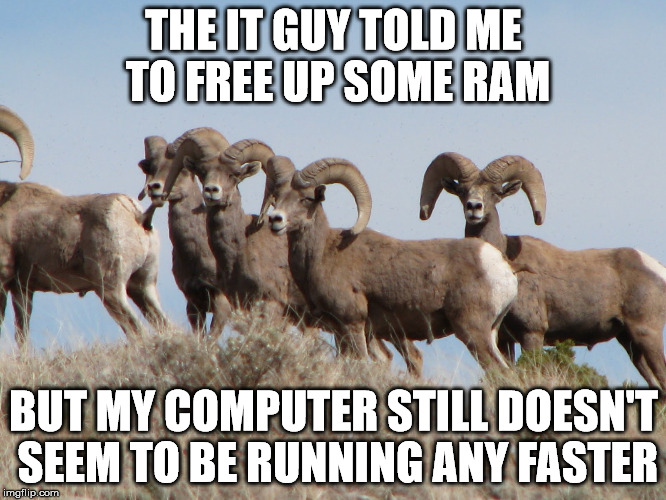 THE IT GUY TOLD ME TO FREE UP SOME RAM BUT MY COMPUTER STILL DOESN'T SEEM TO BE RUNNING ANY FASTER | made w/ Imgflip meme maker