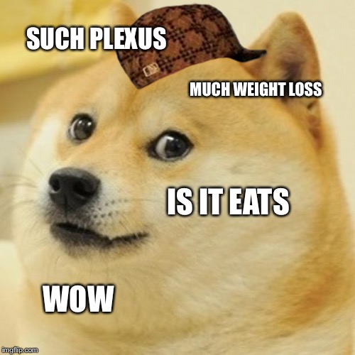 Doge | SUCH PLEXUS MUCH WEIGHT LOSS IS IT EATS WOW | image tagged in memes,doge,scumbag | made w/ Imgflip meme maker