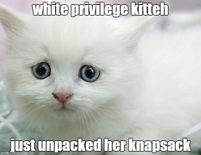white privilege kitteh just unpacked her knapsack | image tagged in white kitteh | made w/ Imgflip meme maker