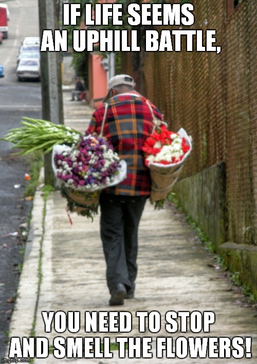 IF LIFE SEEMS AN UPHILL BATTLE, YOU NEED TO STOP AND SMELL THE FLOWERS! | image tagged in uphill battle | made w/ Imgflip meme maker