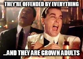 Good Fellas Hilarious Meme | THEY'RE OFFENDED BY EVERYTHING ...AND THEY ARE GROWN ADULTS | image tagged in ray liotta | made w/ Imgflip meme maker