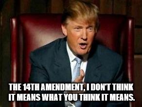 Donald Trump | THE 14TH AMENDMENT, I DON'T THINK IT MEANS WHAT YOU THINK IT MEANS. | image tagged in donald trump | made w/ Imgflip meme maker