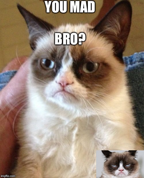 Grumpy Cat | YOU MAD BRO? | image tagged in memes,grumpy cat | made w/ Imgflip meme maker