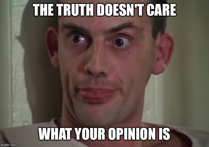 THE TRUTH DOESN'T CARE WHAT YOUR OPINION IS | image tagged in truth,opinion | made w/ Imgflip meme maker