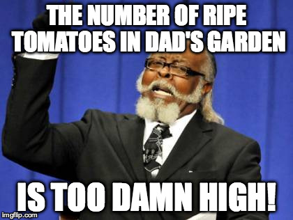 Too Damn High Meme | THE NUMBER OF RIPE TOMATOES IN DAD'S GARDEN IS TOO DAMN HIGH! | image tagged in memes,too damn high | made w/ Imgflip meme maker