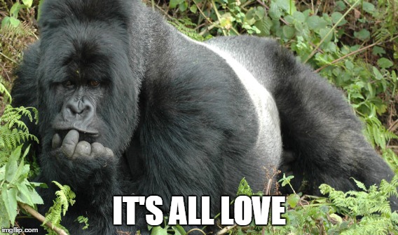 Good Vibe Gorilla | IT'S ALL LOVE | image tagged in itsallgood,goodvibegorilla,sexy | made w/ Imgflip meme maker