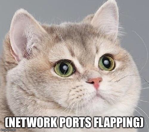 (NETWORK PORTS FLAPPING) | made w/ Imgflip meme maker