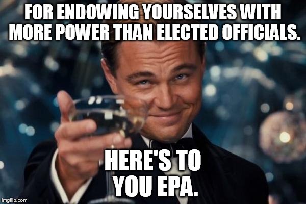 Leonardo Dicaprio Cheers | FOR ENDOWING YOURSELVES WITH MORE POWER THAN ELECTED OFFICIALS. HERE'S TO YOU EPA. | image tagged in memes,leonardo dicaprio cheers | made w/ Imgflip meme maker