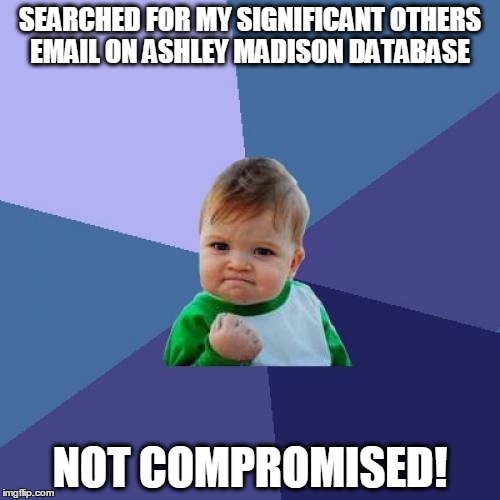 Success Kid | SEARCHED FOR MY SIGNIFICANT OTHERS EMAIL ON ASHLEY MADISON DATABASE NOT COMPROMISED! | image tagged in memes,success kid,AdviceAnimals | made w/ Imgflip meme maker