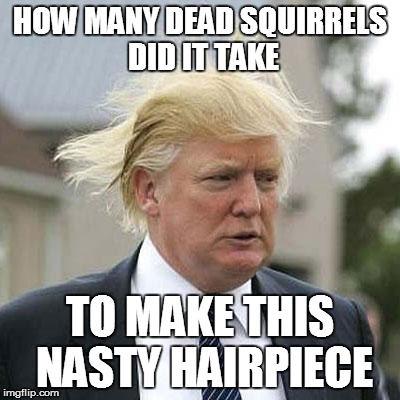 Donald Trump | HOW MANY DEAD SQUIRRELS DID IT TAKE TO MAKE THIS NASTY HAIRPIECE | image tagged in donald trump | made w/ Imgflip meme maker
