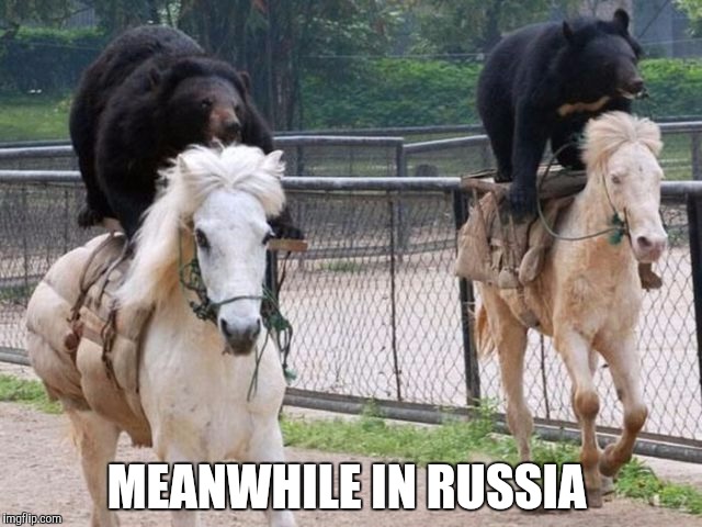 Meanwhile in Russia  | MEANWHILE IN RUSSIA | image tagged in meanwhile in russia,bears riding horses | made w/ Imgflip meme maker