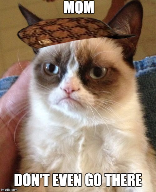 Grumpy Cat Meme | MOM DON'T EVEN GO THERE | image tagged in memes,grumpy cat,scumbag | made w/ Imgflip meme maker